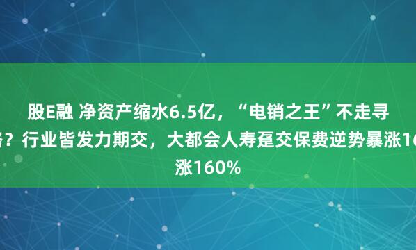 股E融 净资产缩水6.5亿，“电销之王”不走寻常路？行业皆发力期交，大都会人寿趸交保费逆势暴涨160%