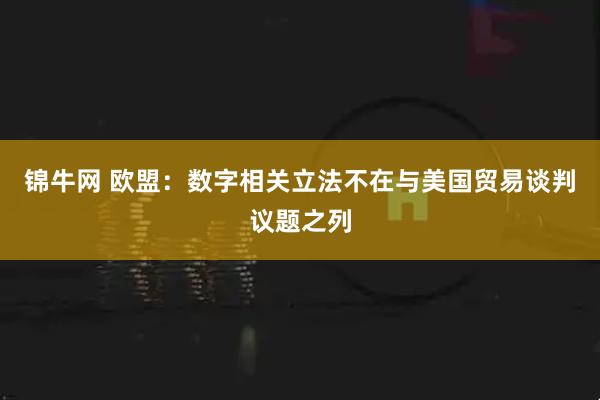 锦牛网 欧盟：数字相关立法不在与美国贸易谈判议题之列