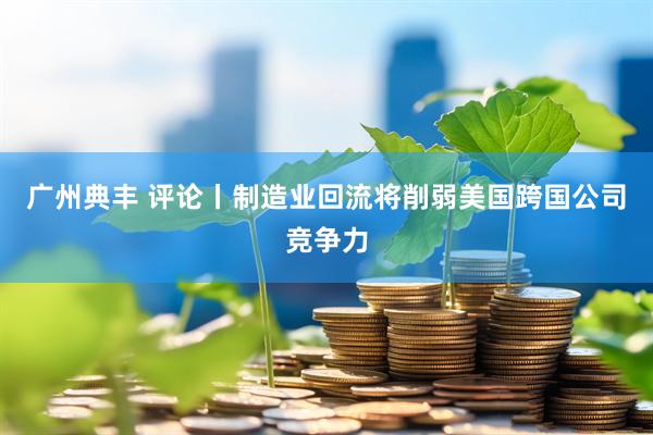 广州典丰 评论丨制造业回流将削弱美国跨国公司竞争力