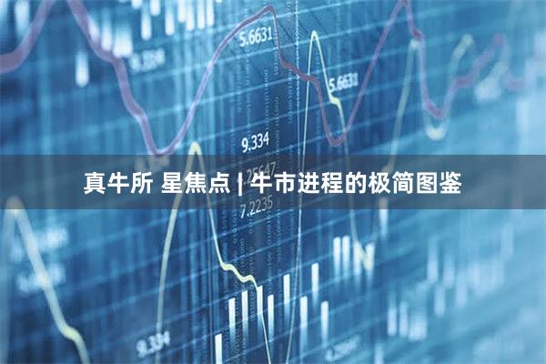 真牛所 星焦点 | 牛市进程的极简图鉴