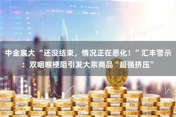 中金宸大 “还没结束，情况正在恶化！”汇丰警示：双咽喉梗阻引发大宗商品“超强挤压”